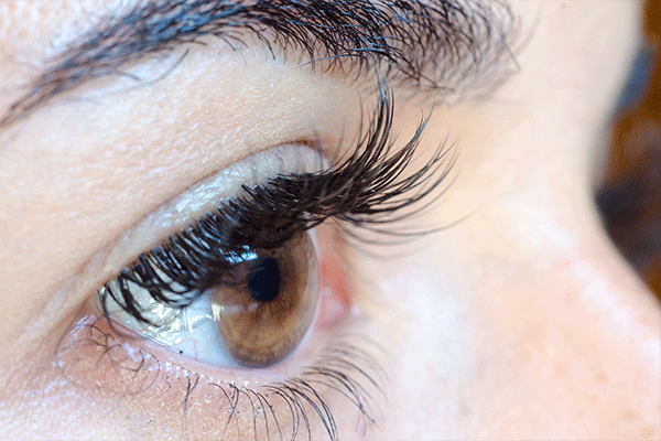 Eyelash Repair Treatment Porthcawl